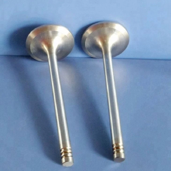 3.motorcycle Engine outlet Valve