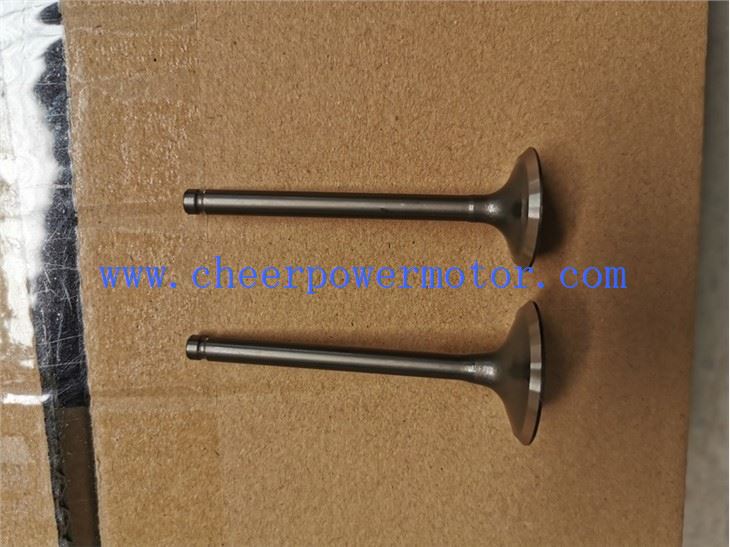 SHINERAY XY125-8X Exhaust Engine Valve for Motorbike (2)