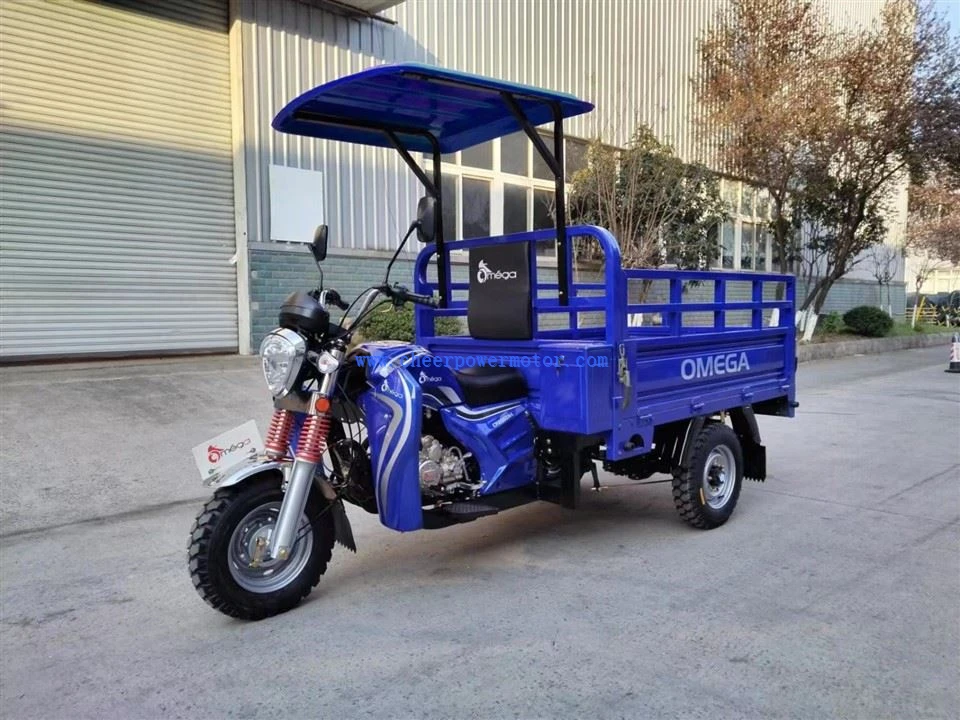 200cc Economical Sun Shield Cargo Tricycle (12)