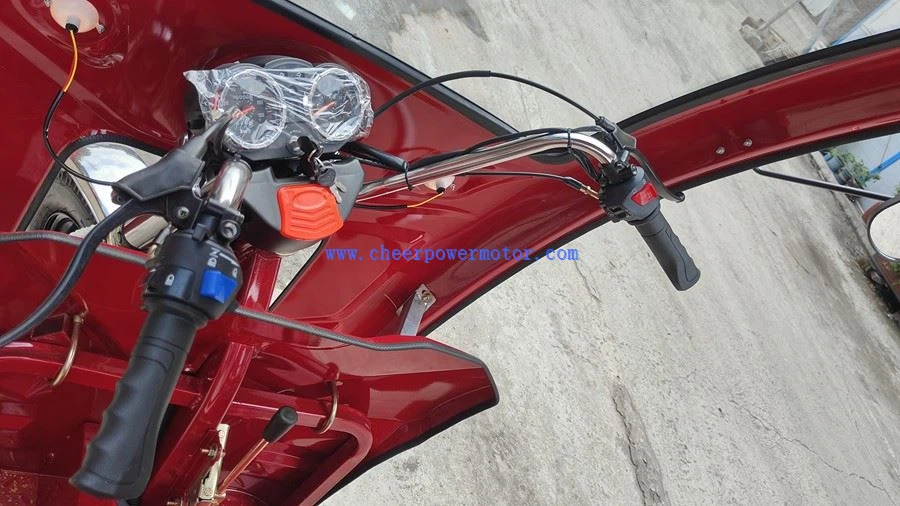 Hybrid cargo tricycle (6)