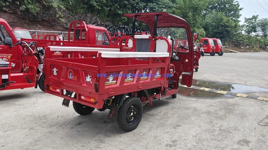 Hybrid cargo tricycle (3)