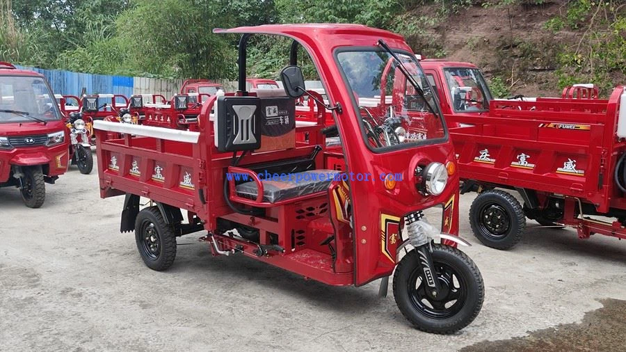 Hybrid cargo tricycle (1)